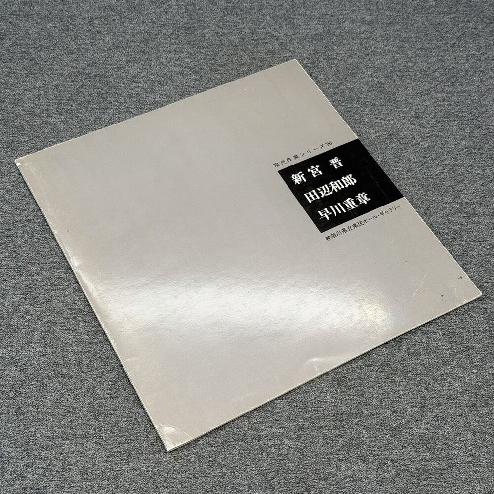 1986 Susumu Shingu Kanagawa Prefectural Gallery Japan Contemporary Art Catalogue